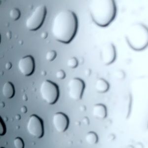 Meet your Posher, Malia